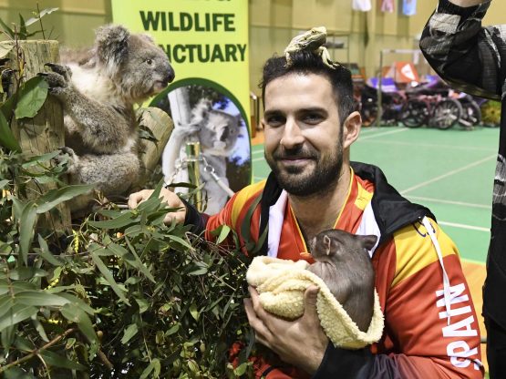 20181121-1757-2018AustraliaPara-BadmintonInternationalDSC_3167