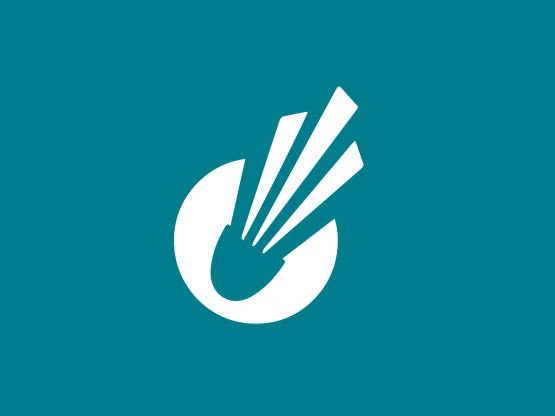 BOC logo for website