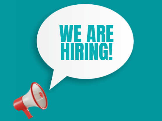 We are hiring 2